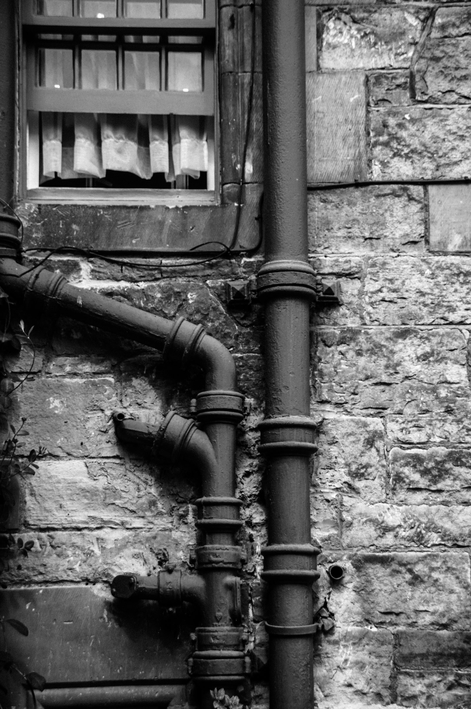 Anthony's Plumbing Services — plumber in Santa Ana, CA