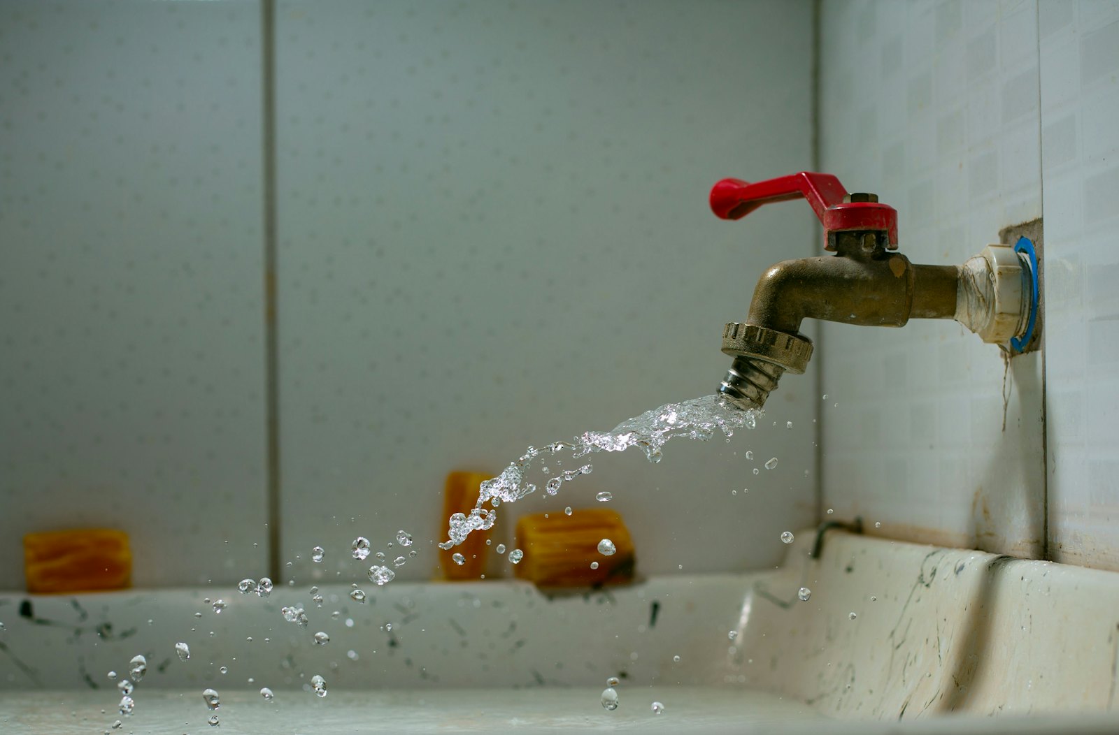 L & P Plumbing LLC — plumber in Hayward, CA