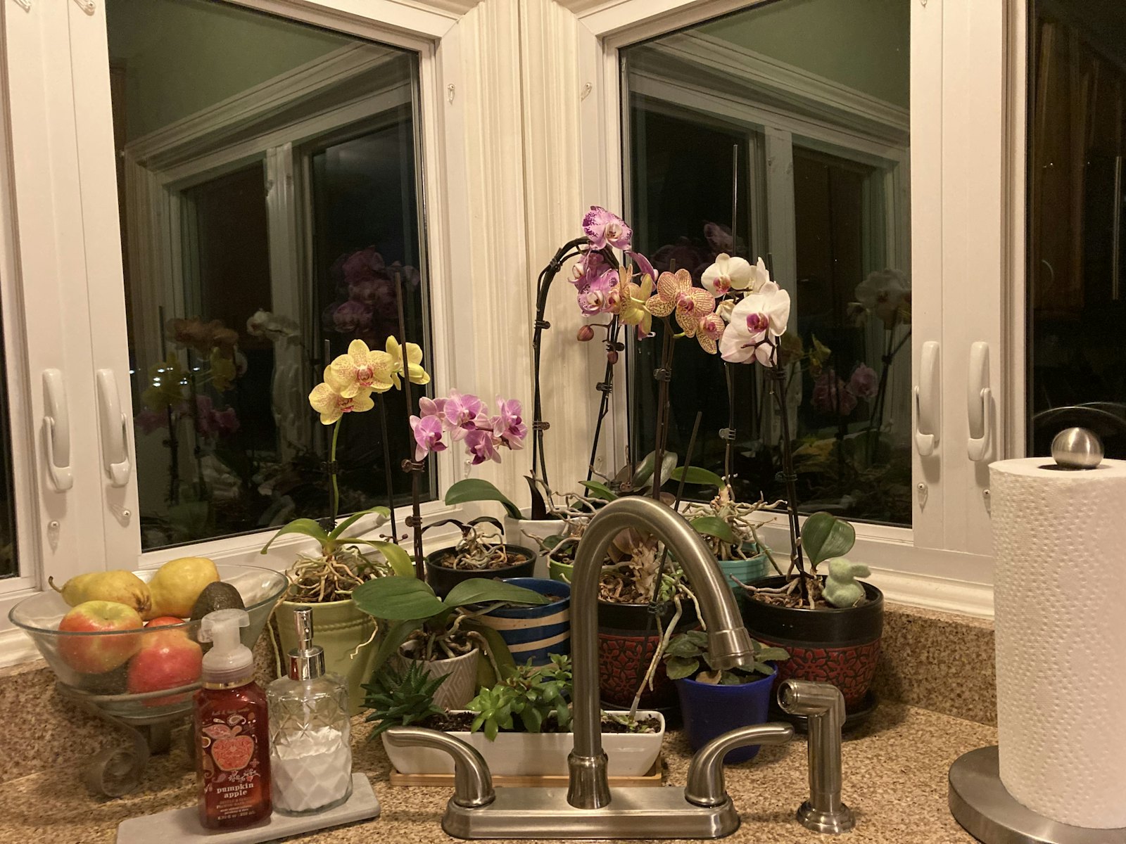 Riverton Plumbing & Drain Services — plumber in Novato, CA