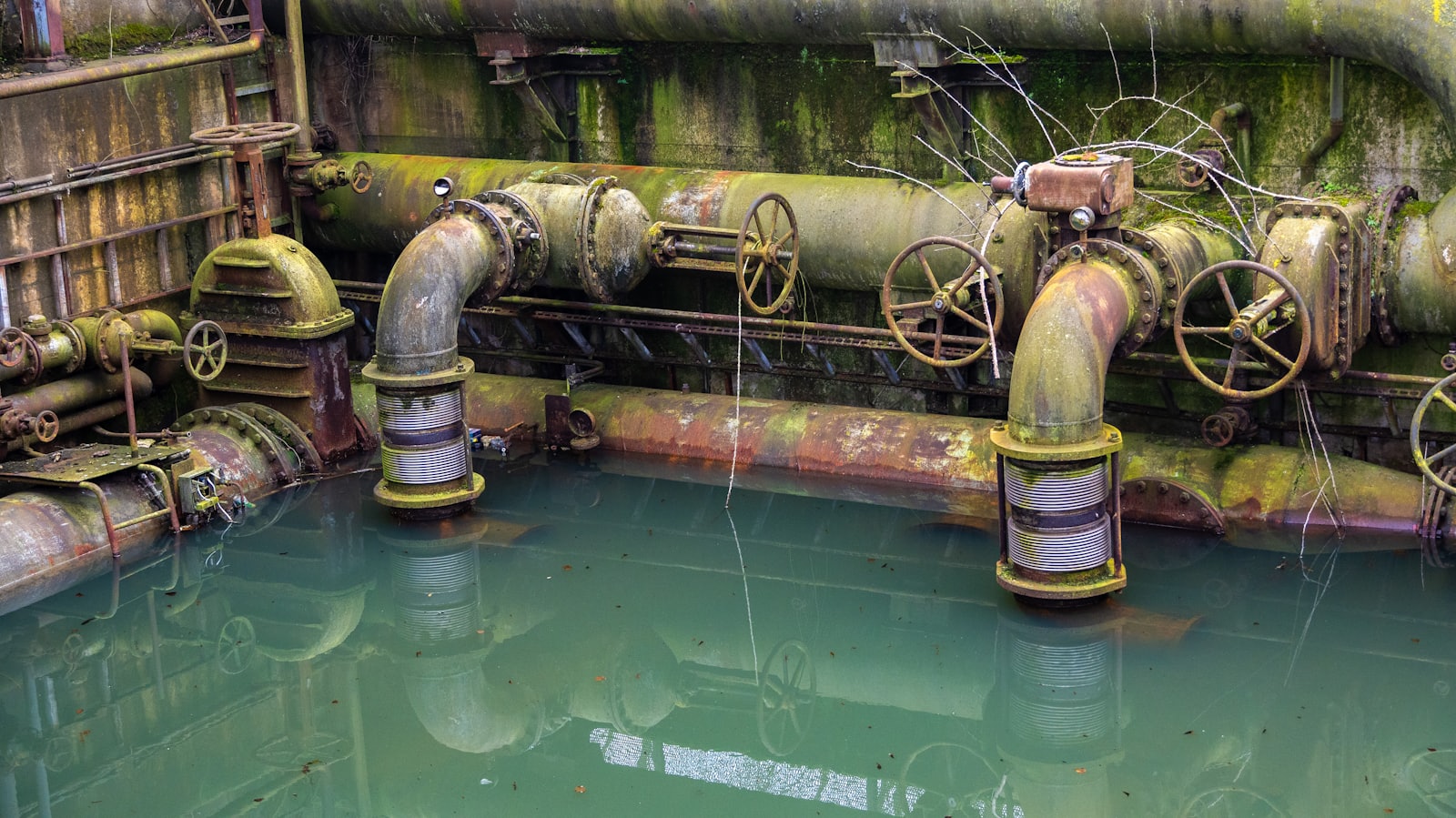 Wallingford Plumbing LLC — plumber in Ontario, CA