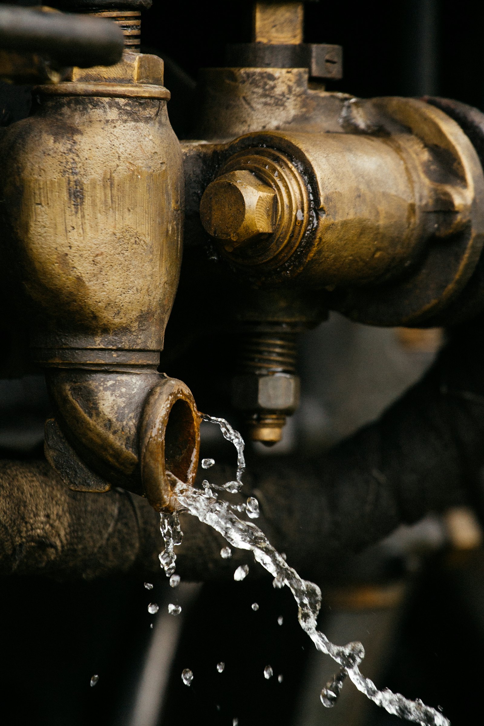 Ronaldo the Plumbing Pros — plumber in Los Gatos, CA
