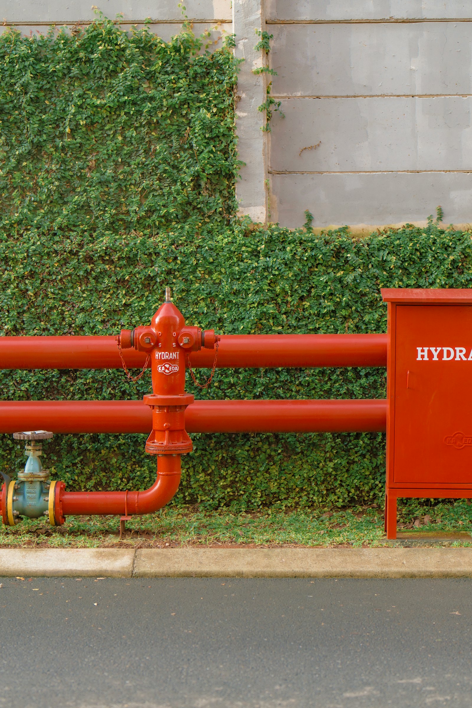 Ski's Plumbing — plumber in Santa Rosa, CA