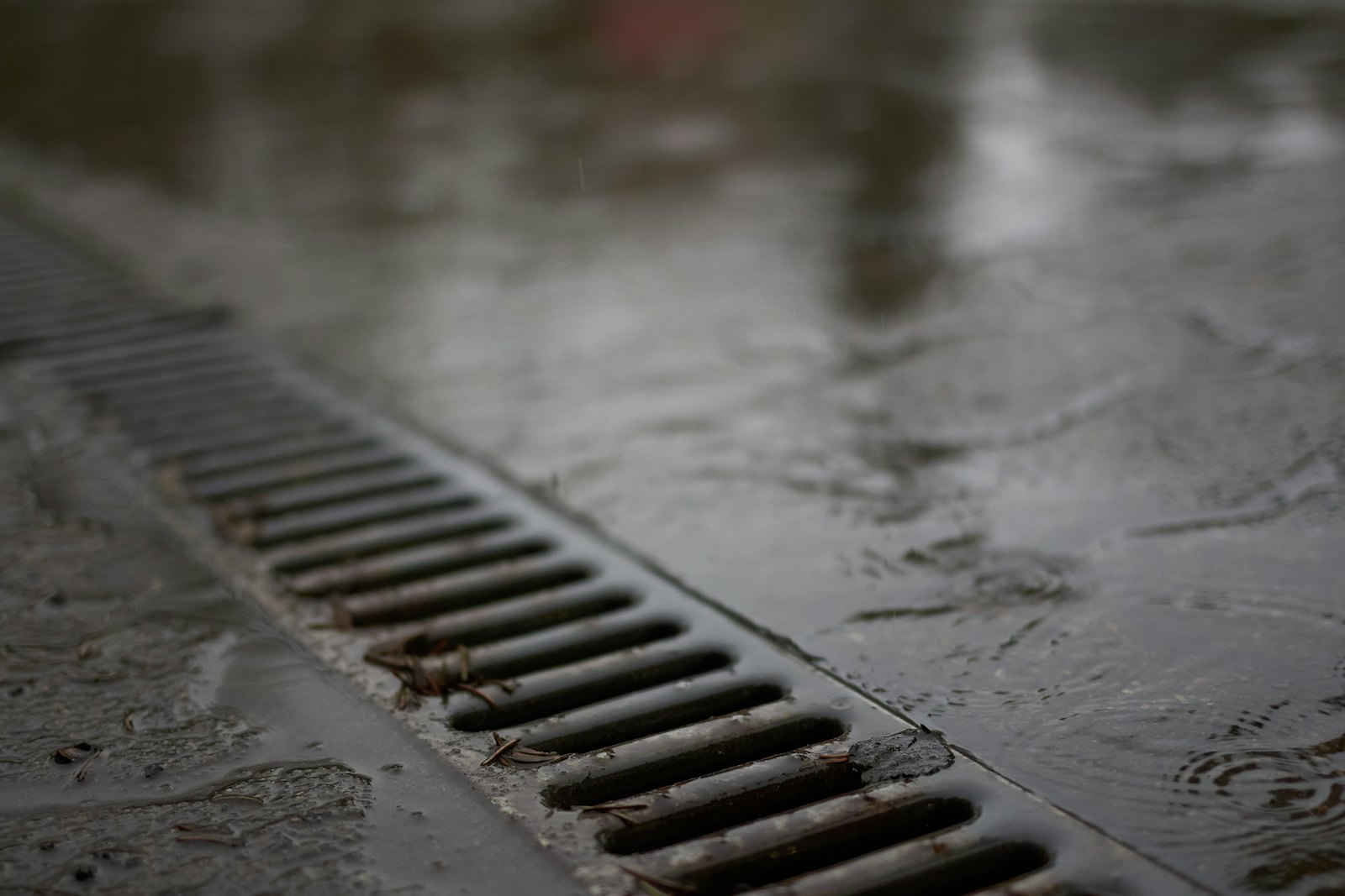 Wasatch Plumbing Services — plumber in Chula Vista, CA